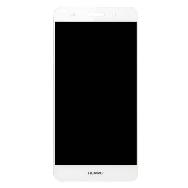 y6-2-white